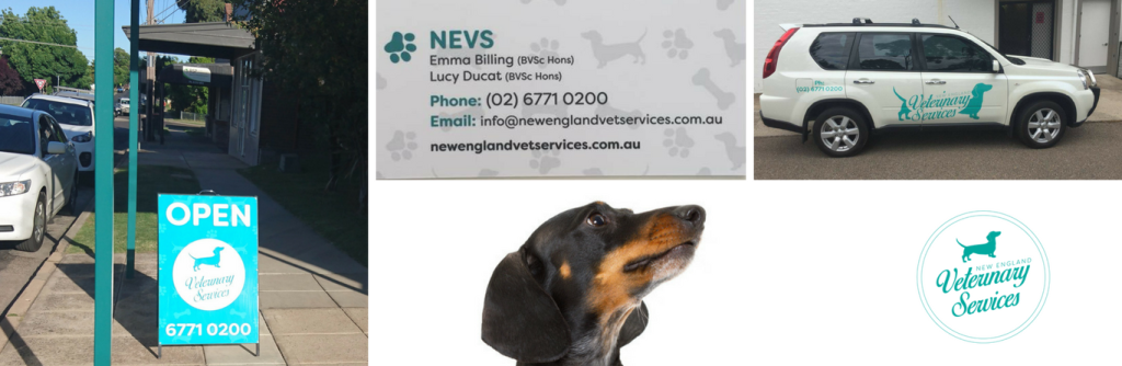 Armidale’s latest Vet Clinic