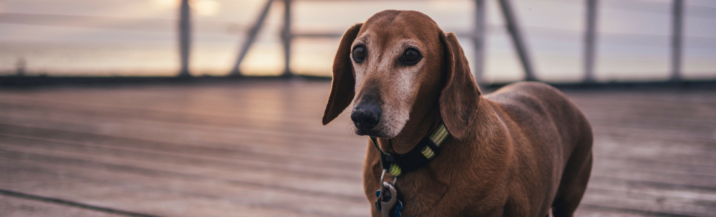 Arthritis… a silent disease