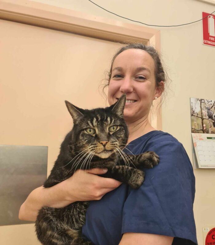 Claire Frizell BVSc (BVetBiol)