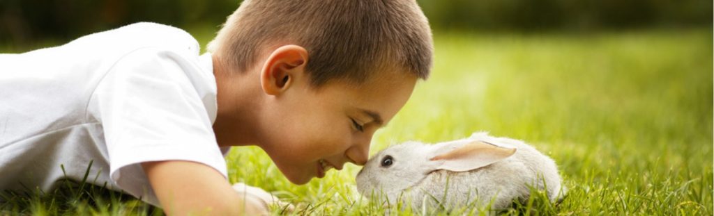 Rabbit Care