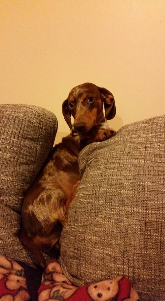 A Behavioural Journey