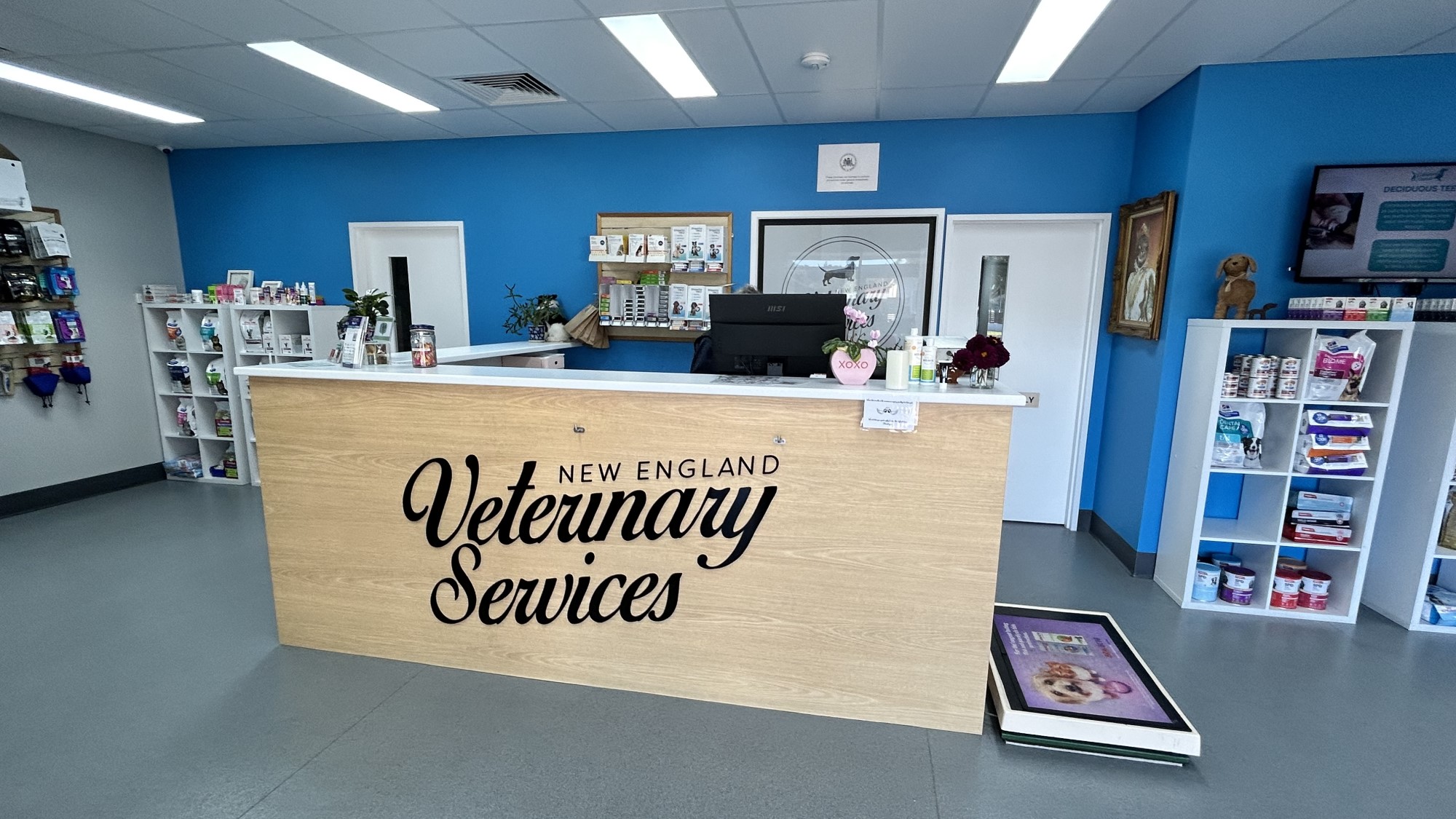 Reception area of New England Veterinary Services