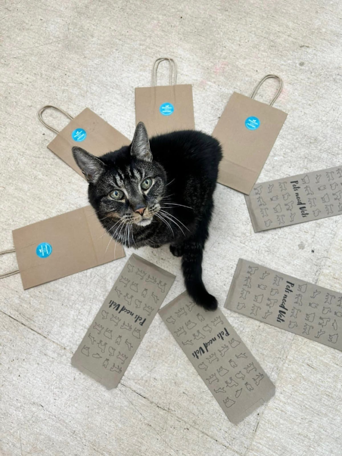 NEVS is making Greener Choices for you and for the planet!