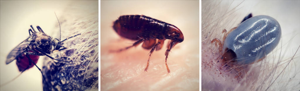 Prevention is better than cure….